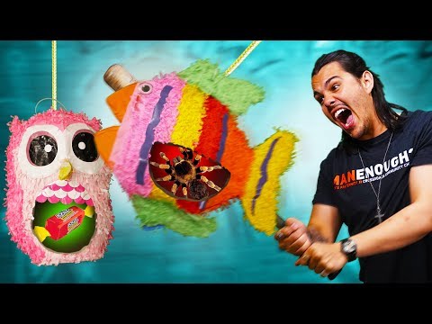 DON'T Hit The Wrong Piñata Challenge! Video