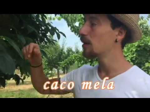 Italian Garden Tour in Tuscany, Italy