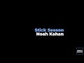 Noah Kahan - Stick Season (Karaoke)