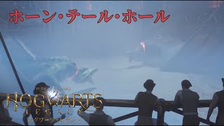【ホグワーツレガシー】ホーン･テール･ホール【SPADE1136】