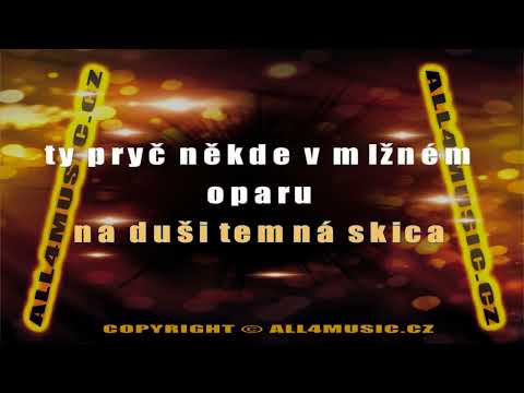 KJ0264 MIŠÍK VLADIMÍR-Co jsem si vzal (Karaoke verze)