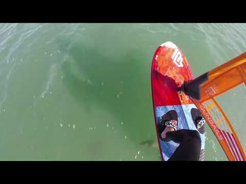 windfoil test F-ONE Levo 900