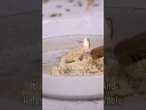 The Ultimate Guide to Cleaning Mite Infestations in Your Aviary