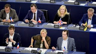 The Brief: Europe of Nations and Freedom - a closer look
