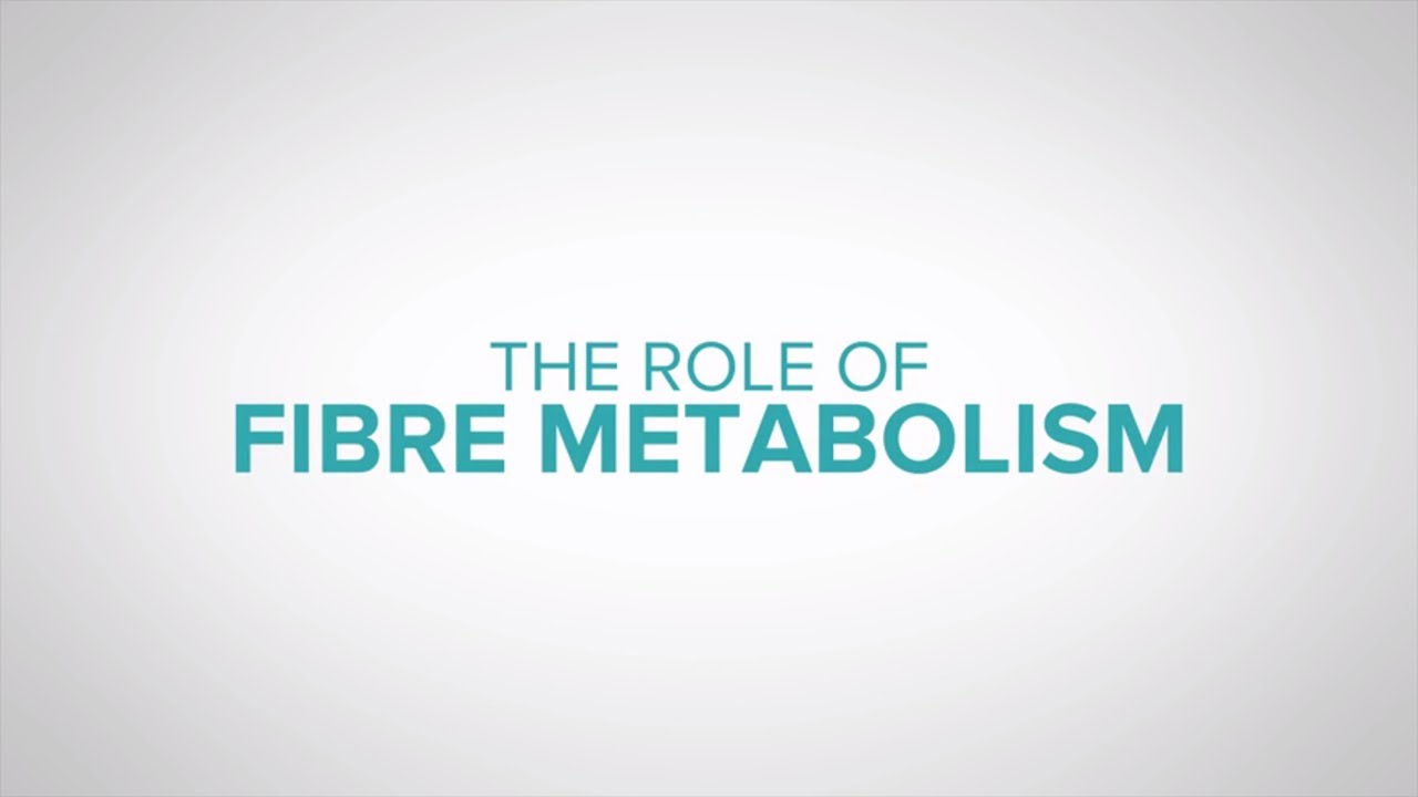 The role of fibre in dairy cow nutrition