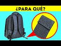 Nunca Te Quedes Sin Cosas Que Decir 15 Datos Curiosos Y Divertidos