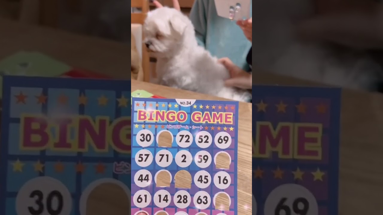 Japanese New Years🇯🇵"お正月"