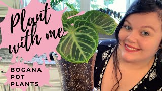 Plant with Me | BoganaPotPlants