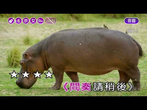悔~方季惟~女原調~伴奏~導唱甲