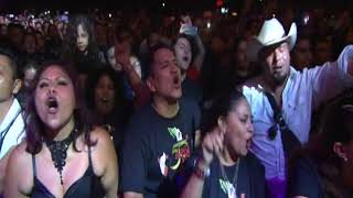 El Tri - Nunca Digas Que No (En Vivo)