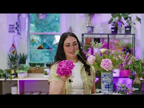 Arranging local peonies, yarrow, Queen Anne’s lace, astrantia and campanula into a tall vase