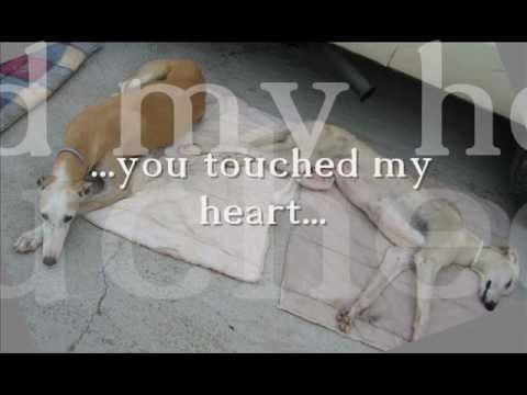 Tequila 02.02.2000 - 03.09.2010