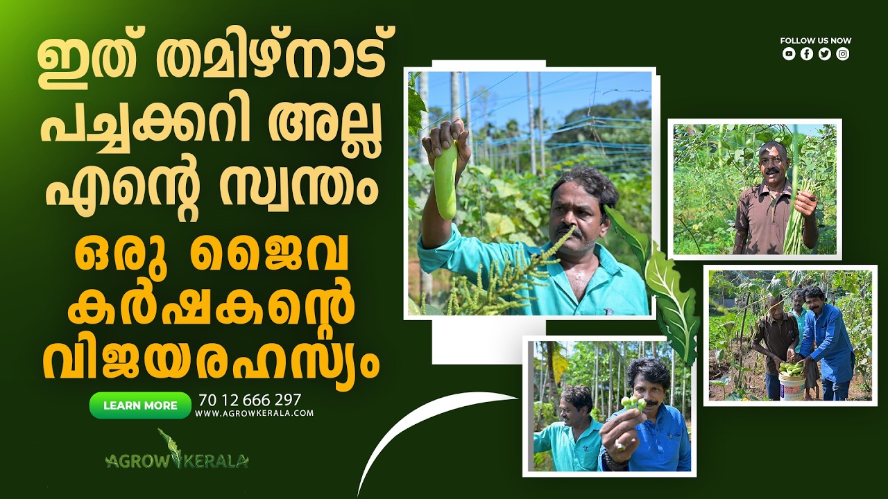 This is not a Tamil Nadu vegetable, it's my own...the secret to the success of an organic farmer