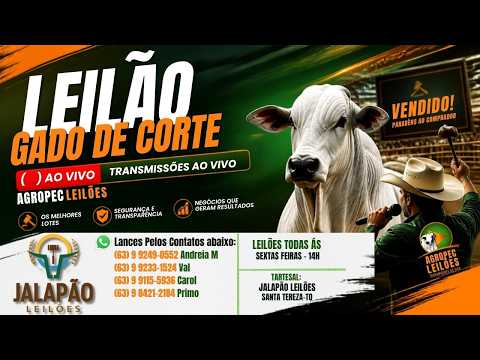 Agropecleiloes.com LEILÃO ESPECIAL GADO DE CORTE | JALAPÃO LEILÕES - SANTA TEREZA-TO | 23/10/2026.