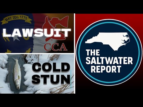Nine Conditions Conducive for a Cold-Stun Event. CCA Lawsuit Update. Water Temperatures