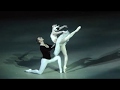 03 10 18 Olesya Novikova Swan Lake Coda Act I