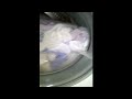 Currys Essentials Washing Machine Full Load Deep Rinse