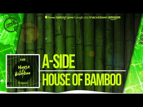 DNZ299 // A-SIDE - HOUSE OF BAMBOO (Official Video DNZ RECORDS)