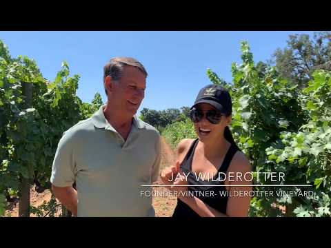 The Best Italian Wine in California!!