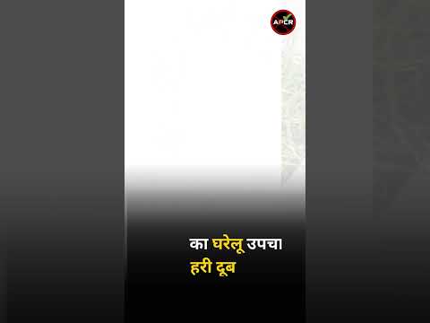 Home Remedies for Piles : Green Doob  (बवासीर का घरेलू  उपचार हरी दूब)
