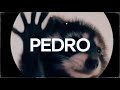 La Canción De Pedro PEDRO Raffaella Carrà Jaxomy Agatino Romero Remix Letra