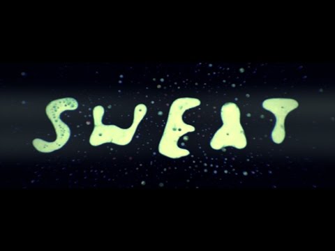 Major Lazer feat. Laidback Luke & Ms Dynamite - Sweat (Second Life Cover)