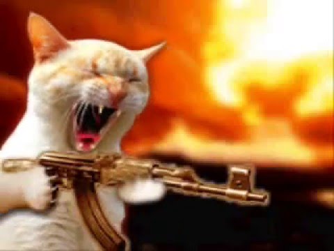 hahakitty with ak7