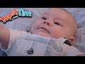 Topsy Tim New Baby Full Episode Compilation Shows For Kids HD