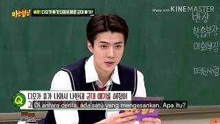 Download lagu SEHUN EXO - Part knowing brother [SUB INDO] mp3