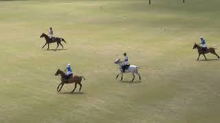 The Villages Polo Club 3/1/2026