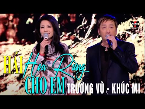 VAN SON 😊 Chicago | Hái Hoa Rừng Cho Em | Trường Vũ - Khúc Mi