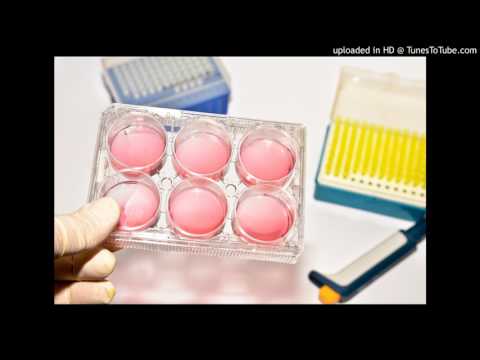 Standardized Stem Cells