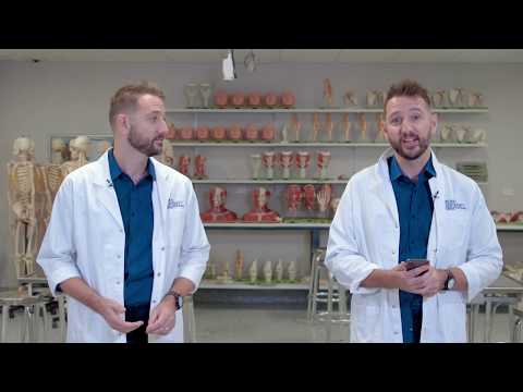 An Expert Explains: Do identical twins have the same fingerprints?