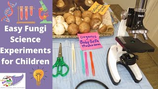 Easy Fungi Science Experiments for Children