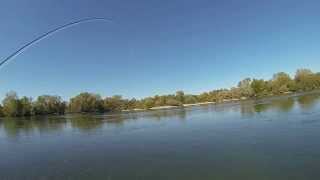 preview picture of video 'Fly Fishing Lower Sacramento River with Walter - 10/6/13 - Redding, CA'