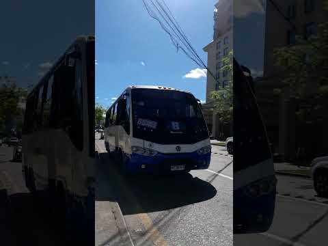 Metalpar Maule (💎125💎)Abate Molina Me Saluda / Marcopolo Senior G7 (💎91💎)Taxutal Me Saluda