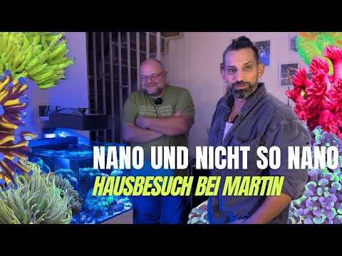 Das neue D-D Reef-Pro 1500: Wir stellen euch das neue Becken von Martin vor + Nano Highlight