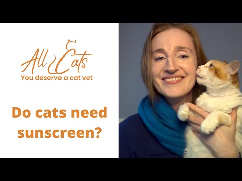 Do cats need sunscreen?