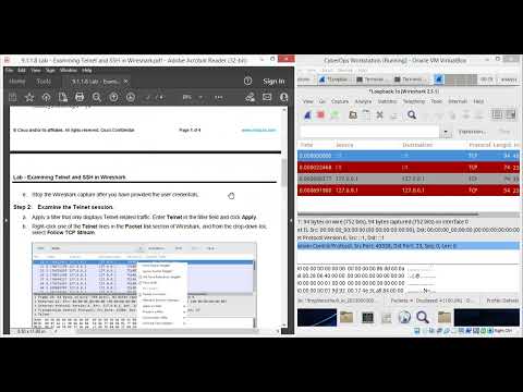 9.1.1.8 Lab - Examining Telnet and SSH in Wireshark