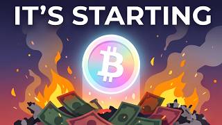 Why the Bitcoin Crash is GREAT for YOU