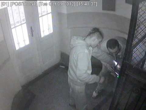 Lopovi obijaju podrum na Vracaru