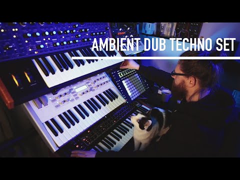 Stay at home concert #8 (Dub Techno / Ambient Techno)