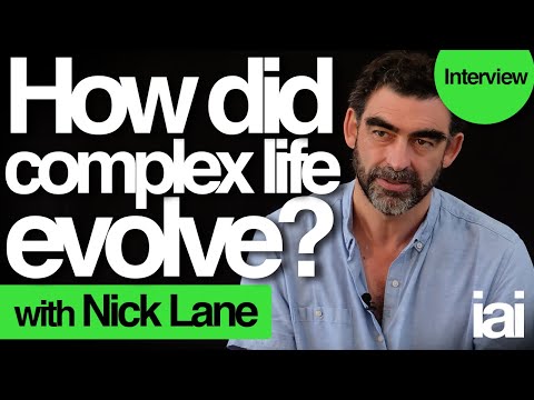 How complex life evolved | Nick Lane