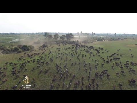 Al Jazeera Svijet - Rat nomada i farmera