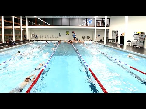 Sociétés locales - Pully-Natation