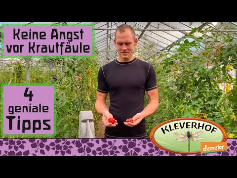 , title : '4 einfache Tipps um Krautfäule bei Deinen Tomaten zu verhindern'