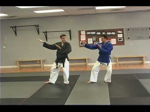 Tae Kwon Do Hwa-Rang Tutorial (Full length)