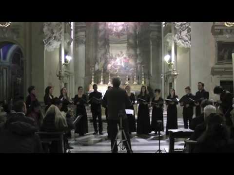 Coro Decanter - Xicochi Conetzintle