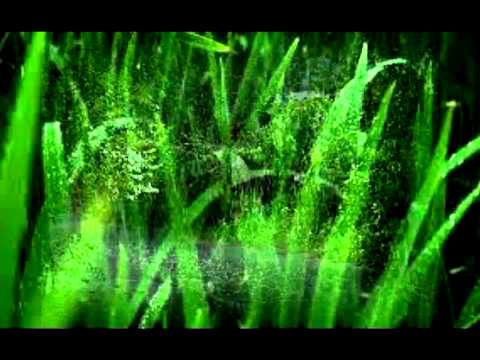 Ila Rawat Sili hawa cover