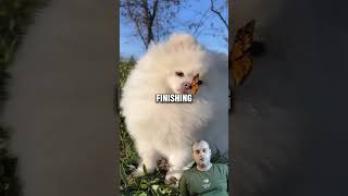 The Cheating Scandal: How I Was the Only One Who Got Away